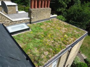 GREEN ROOFING IN MANCHESTER